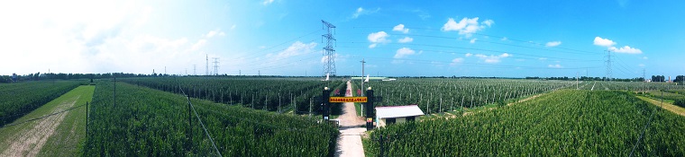 1684148804224784.jpg 優(yōu)德隆全景圖4.jpg